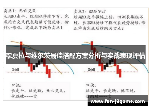 穆夏拉与维尔茨最佳搭配方案分析与实战表现评估
