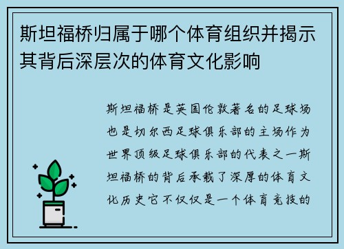 斯坦福桥归属于哪个体育组织并揭示其背后深层次的体育文化影响