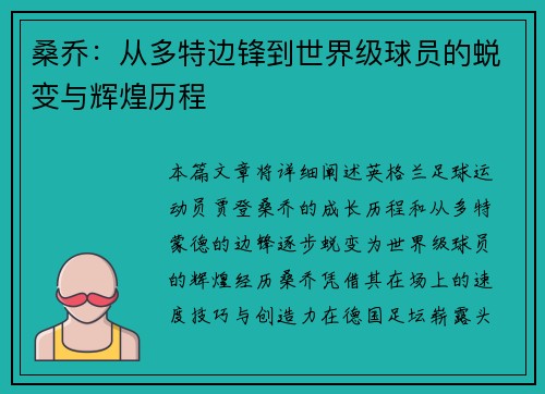 桑乔：从多特边锋到世界级球员的蜕变与辉煌历程